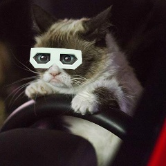 Александр Норд, 25.01, Санкт-Петербург