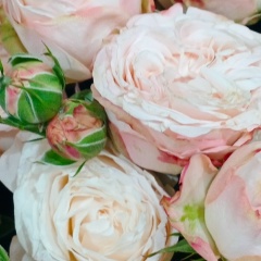 Инна Дочьотцасвоего