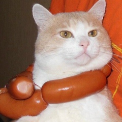 Alexey Panaetov, Москва