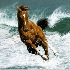 Kenny Hoagup, 08.05, Virginia Beach