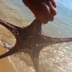 Оля Ломоносова, 19.03, Санкт-Петербург