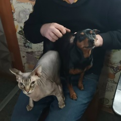 Роман Самылин, 10.05.1988, Санкт-Петербург