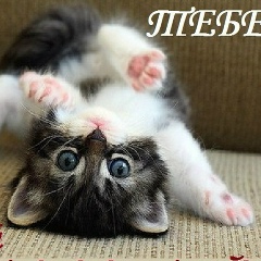Marisha Pinchuk, 02.02
