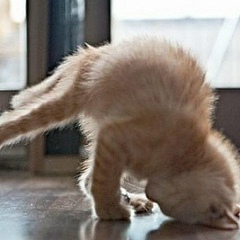 Александра Вебер, 25.04