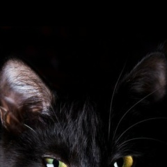 Алексей Прошкин, 20.02.1977, Владивосток