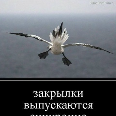 Алексей Бикинеев, 19.11