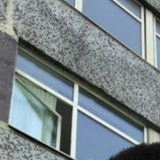 Даниил Орлов, 26.11.1990, Ставрополь