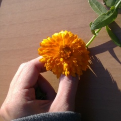 Елена Чубекина, 25.07, Москва