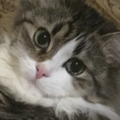 Лилия Бойко, 03.09, Зеленодольск