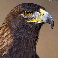 Bolat Zhaksylykov, 20.08.1991, Астана