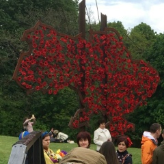 Екатерина Гончарова-Честных, 08.01.1988, Киев