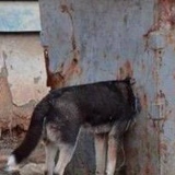 Андрей Гусаков, 23.10.1985, Санкт-Петербург