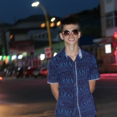 Владимир Чеботарь, Хынчешты