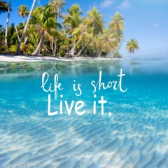 Зуля Фёдорова, Алматы