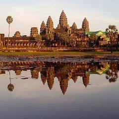 Птичка Птичкина