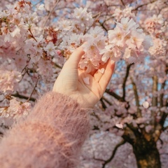 Kundyz Dauetkhanova, 04.10.1997, Алматы