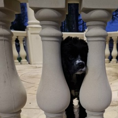 Евгения Русина, 18.08.1986, Зубцов