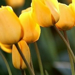 Анна Тарабрина, 13.09, Санкт-Петербург