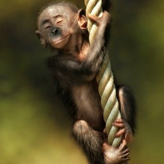 Евгений Прачук, 25.01.1988, Овруч