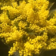 Татьяна Дремлюга, 29.05.1986, Москва