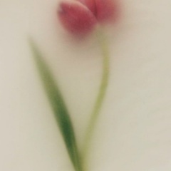 Диана Жаксыгалиева, 15.02, Актобе