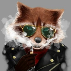 Лев Токарев, Шалкар