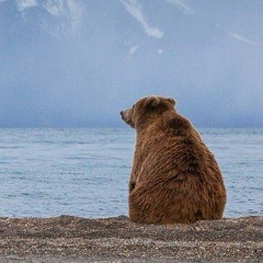Борис Михеенко, 31.12.1985, Санкт-Петербург
