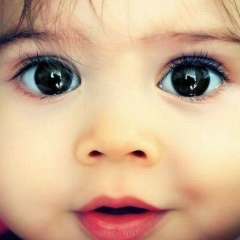 Туран Исгендерзаде, 12.02.1984, Санкт-Петербург