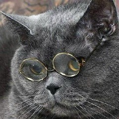 Светлана Керча, Москва