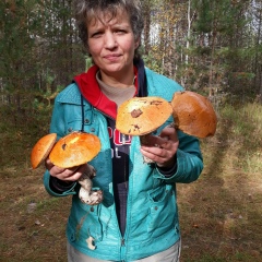 Людмила Жук, Санкт-Петербург