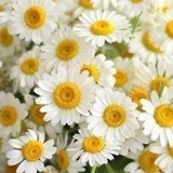 Хадишка Мурзабекова, 14.01, Малгобек