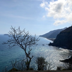 Александр Григорьев, 14.10