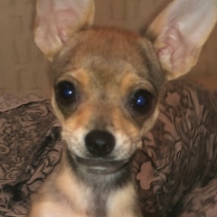 Арина Тед, 20.08, Москва