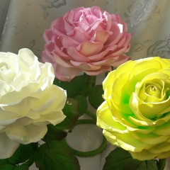 Елена Гусейнова, 27.06, Запорожье