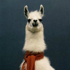 Alexander Calagua, 16.05, Lima