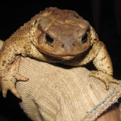 Юрий Бондарь, 22.09.1979, Курган