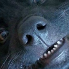 Денис Сидоренко, 06.05.1980, Екатеринбург