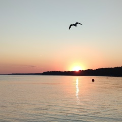 Светлана Степанова, 18.11, Санкт-Петербург