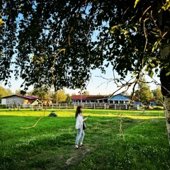 Ramilla Dadashova, Санкт-Петербург