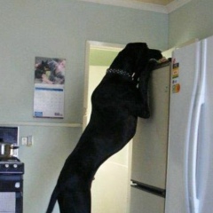 Андрей Жуков, 01.01