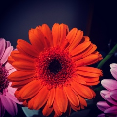 Анна Кудрявцева, 04.05.1986, Москва