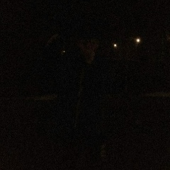 Дима Шадрин, 05.02.1998