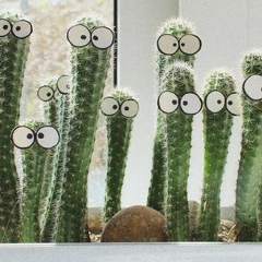 Лилит Маилян, 03.05.1989, Коломна