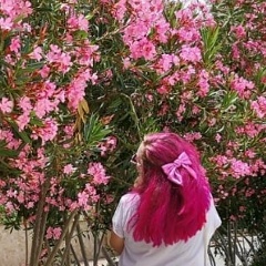 Анастасия Костенко, 20.12.1993, Санкт-Петербург