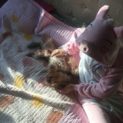 Настя Степанюк