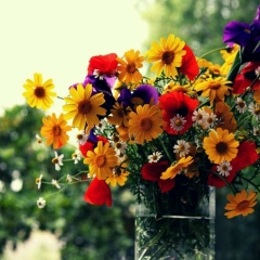 Виктория Соломичева, 27.07, Первомайск