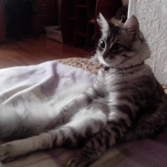 Вадим Владимиров, 08.06