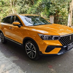 Kaung Kin, 31.12.1994, Kyaukpadaung