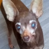 Александра Кулагина, 01.04.1989, Санкт-Петербург