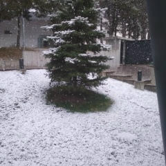 Даурен Елеусов, Шымкент